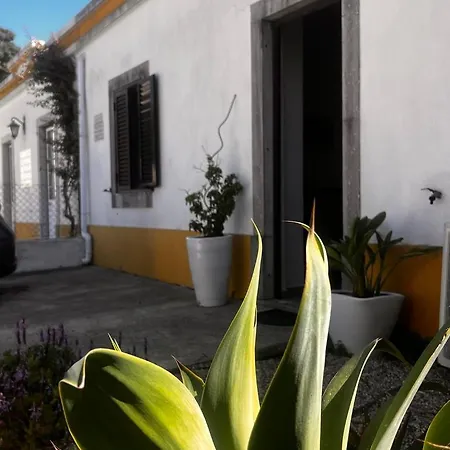 Santa Maria Do Castelo *